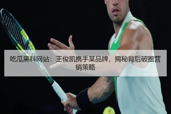 吃瓜黑料网站：王俊凯携手某品牌，揭秘背后破圈营销策略